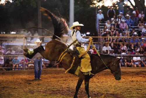 This tough cowboy, Josh Jaskinia of Falls City, rode in the ranch bronc event with a cast on his left hand.