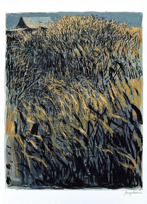 “My fields Drawing #13” By William Anzalone.