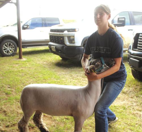 County Stock Show Snapshots