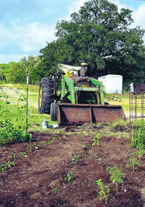 The garden always looks great after a fresh application of mulch. My wife Janessa laid cardboard between the rows before I applied the mulch, which provides even more weed suppression.