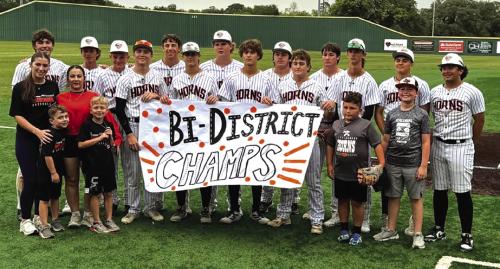 The members of the Schulenburg baseball team celebrate their Bi-District title Thursday in Hallettsville.