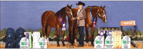 Teagan Kallus Shines at 4-H State Horse Show