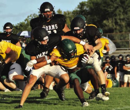 Schulenburg Swarm