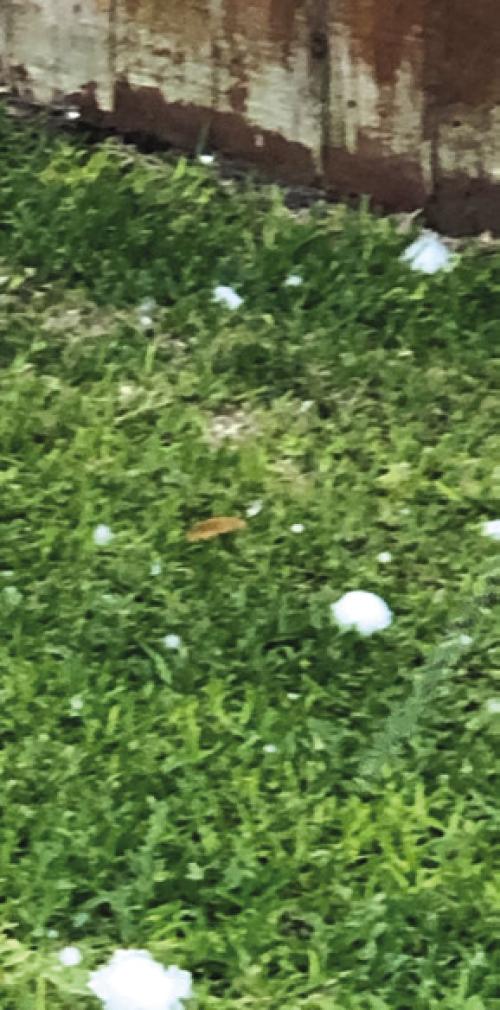 Golf Ball Size Hail Hits Muldoon on Thursday