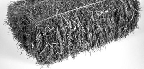 2025 Hay Show Information