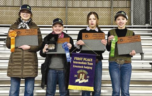 4-H Competes in Nueces Co. Livestock Judging