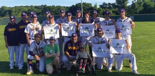 Turtle Wing Baseball Games