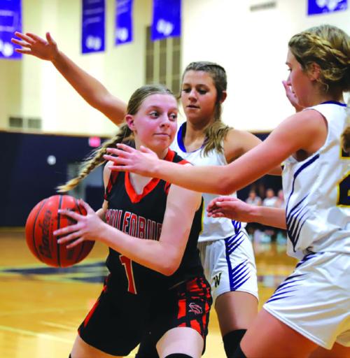 Tuesday Hoops Winners Include Leps, Lions, Cubettes, Flatonia