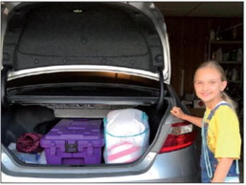 Ellinger Community Wide Garage Sale July 1