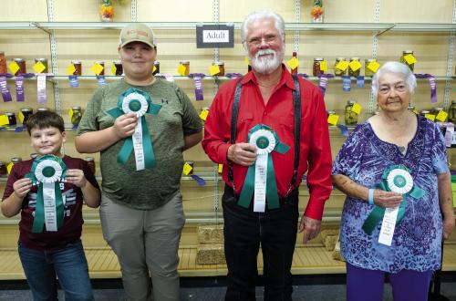 Fayette County Fair Best of Department Winners