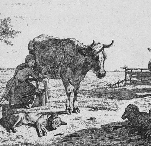 Kesiah Crier (Cryer) of Fayette County