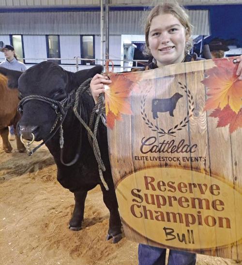 Rheagan Karisch participated in a cattle show in Needville recently.