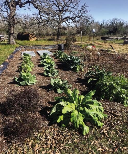 The Fall Garden: Less Weeds, Less Work