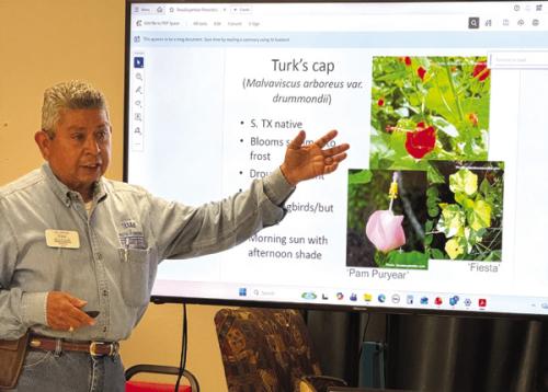 Joe Jimenez, a local Master Gardener, presented the Perennial Super Stars plants to members in Schulenburg.