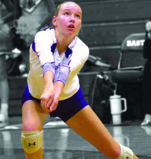 Jobb to Play College Volleyball