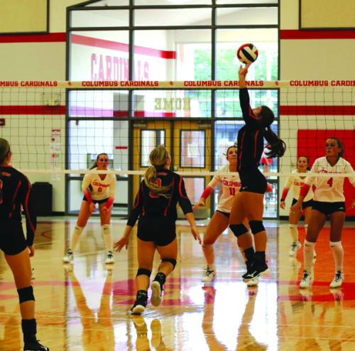 Schulenburg’s Landry Zapalac sets a ball in the Columbus Tournament last week. Photo by Audrey Kristynik