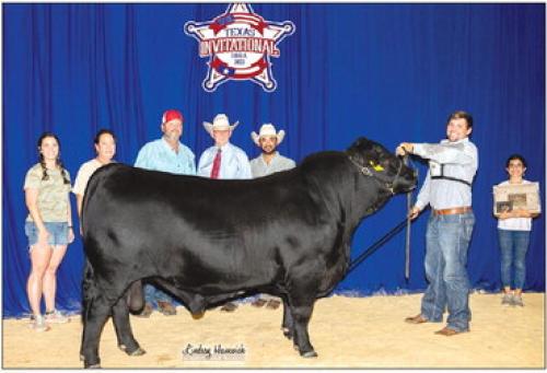 Champions Valley Wins Grand Champion