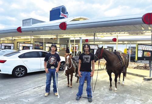 Horsing Around at the ‘Neigh’borhood Drive-In 