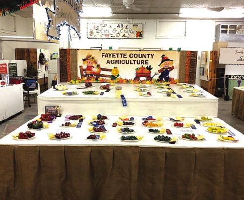 Ag Entries Sought For the County Fair