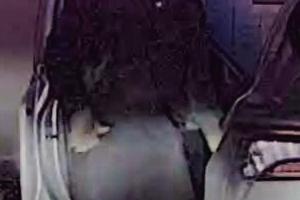 A police dash camera captured this image of a suspect believed to be responsible for a pair of vehicle thefts in La Grange over the past two weeks. If anyone knows who he is, please contact La Grange Police at (979) 9685806.