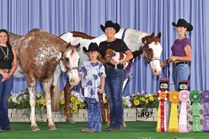 Locals Claim Titles at the Pinto World Championship Show in Tulsa