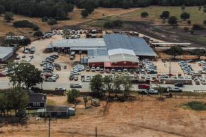 Schulenburg Livestock Reopens With a Big Sale