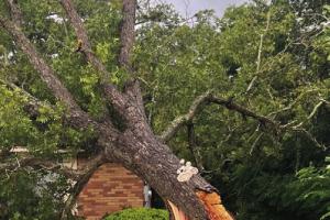 Storm Winds Pack a Punch Here