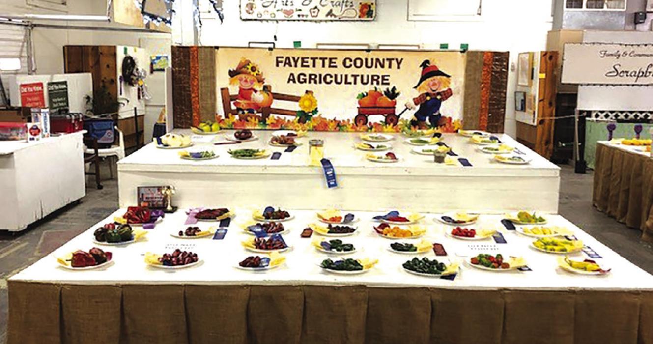 Fayette County Fair Seeking Agriculture Entries