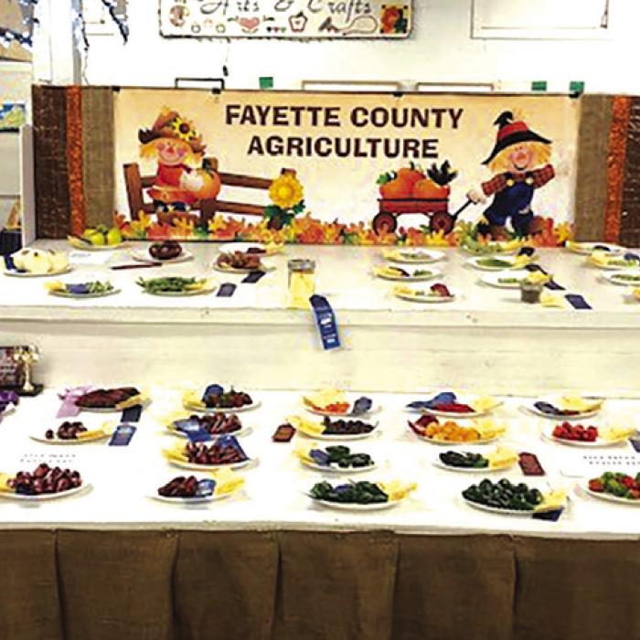 Fayette County Fair Seeking Agriculture Entries