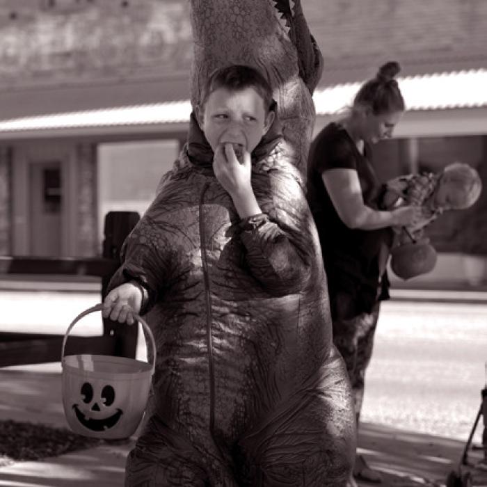 This trick-or-treating dinosaur in downtown La Grange didn’t waste any time taste testing. Photos by Tom Wood