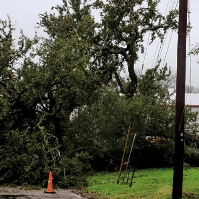 Three Months Worth of Rain in Three Days