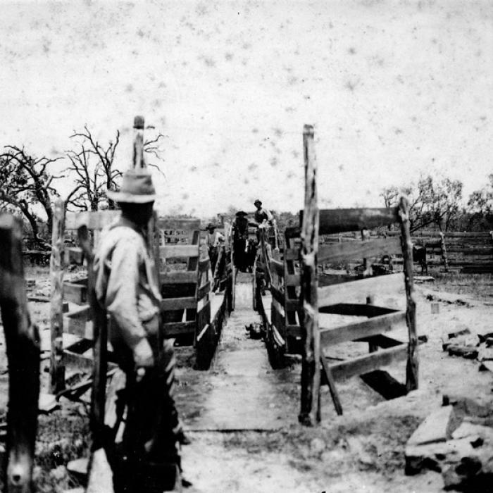 Dipping vat probably located in the Bluff area. Photo courtesy of the Fayette Heritage Museum and Archives