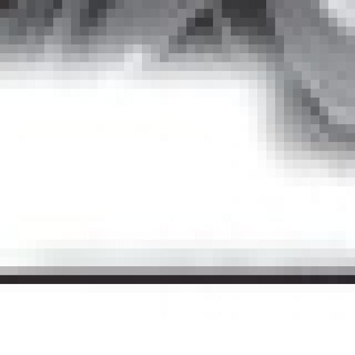 Alt Text for Image