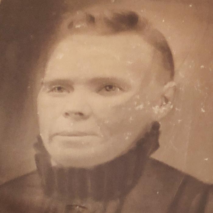 The life of Virginia’s greatgrandmother, a Czech immigrant, inspired a historical novel that Virginia later adapted as a play script.