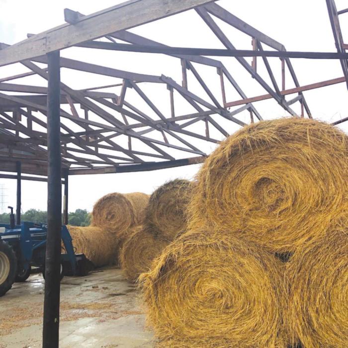 The roof was torn off of a local barn during a recent storm.