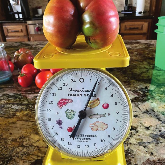 Another Hefty Tomato