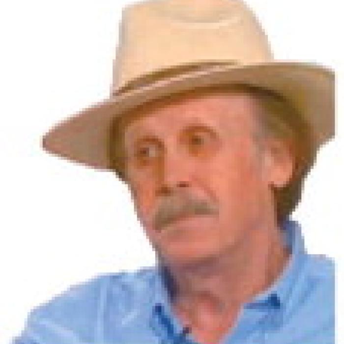 Alt Text for Image