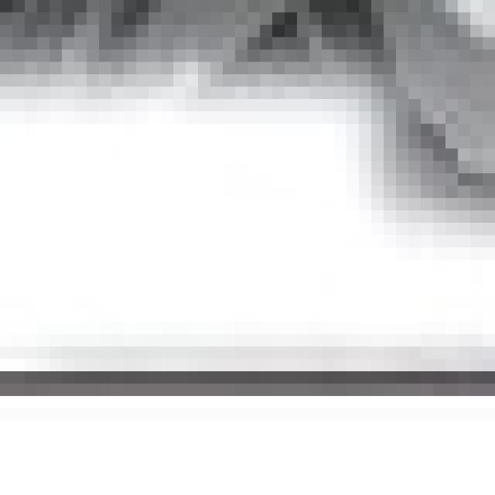 Alt Text for Image