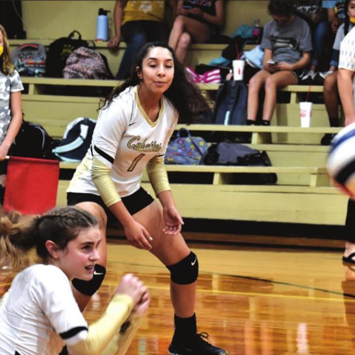 Volleyball: Lady Horns, RT-C, Fayetteville Win