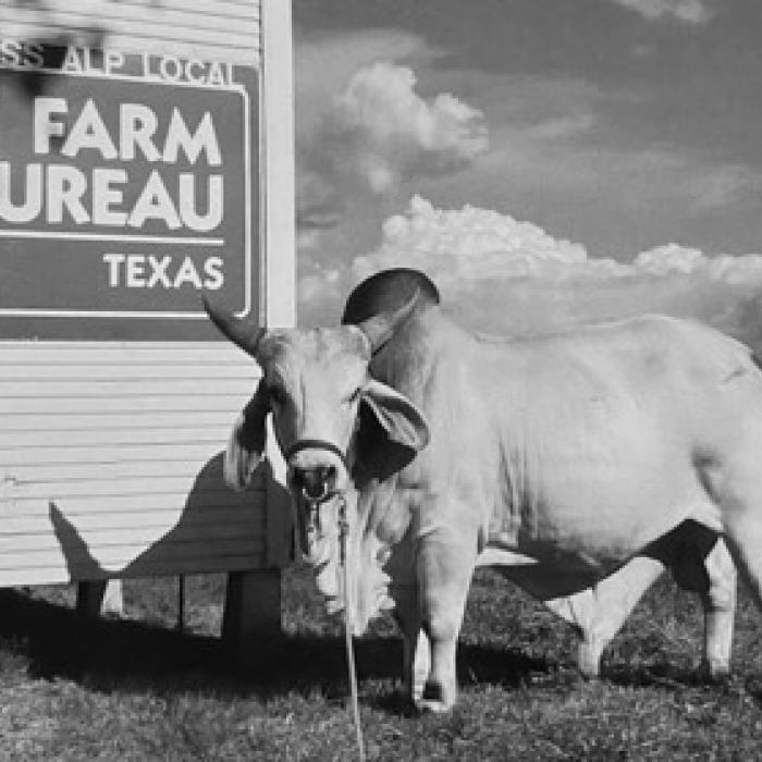 Ralph ‘Fizzie’ Fisher’s Entertaining Life