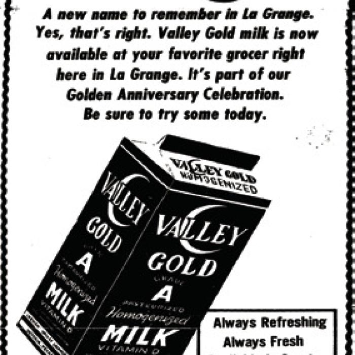 Alt Text for Image