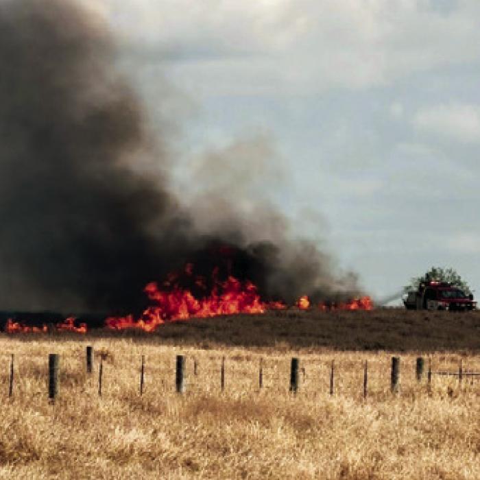 A line of flames sweeps across a pasture during the big grass fire near Ellinger last Wednesday. Photo courtesy of the Ellinger Volunteer Fire Department