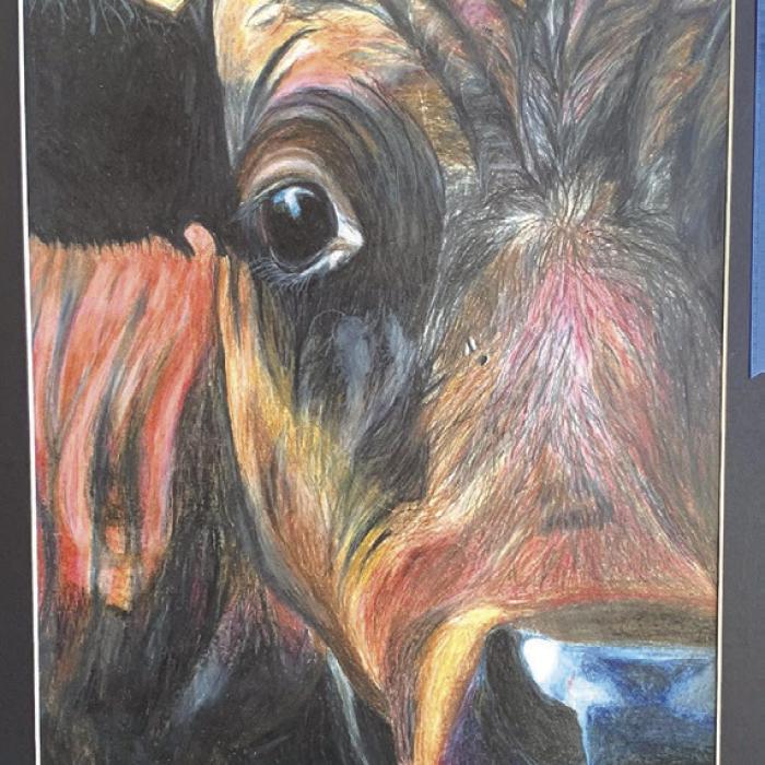 LGISD Western Art Winners