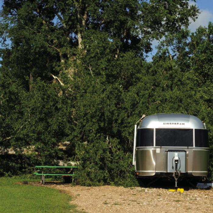 A large tree fell on an Airstream travel trailer at Colorado Landing RV Park on Tuesday, Aug. 27. The tree fell during the storm that passed over La Grange Tuesday afternoon. Staff at the park said no one was inside the trailer at the time.