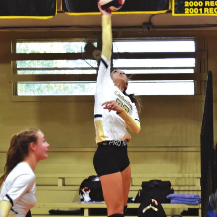 Kennedy Flinn of the Round Top-Carmine volleyball team hits the ball in last week’s match against Weimar. Photo by Paul Kipp