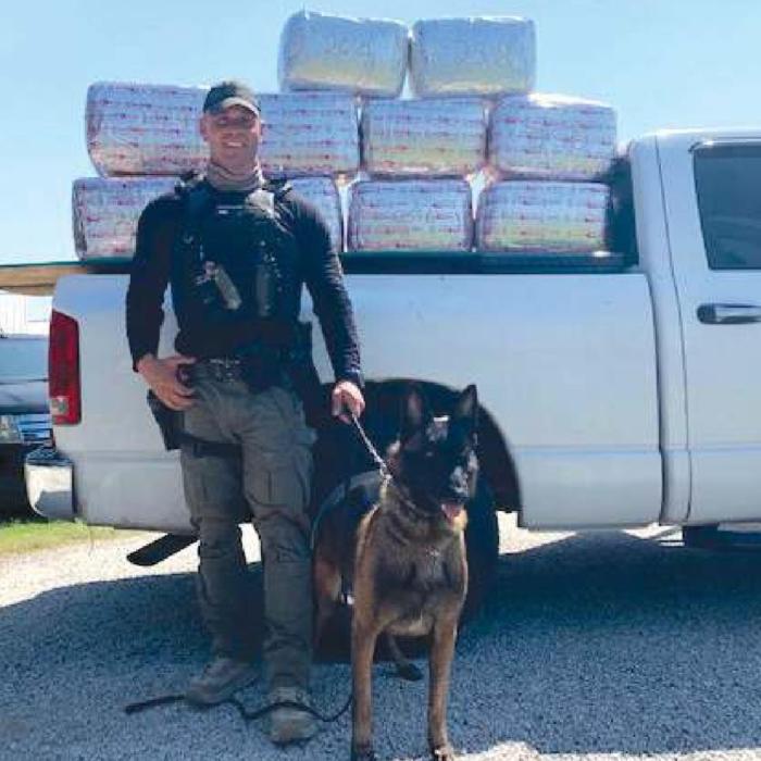 Drug Bust Seizes 253 Lbs. of Marijuana
