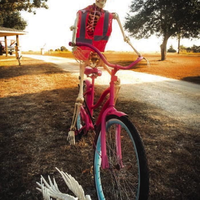 A skeleton riding a pink bicycle.