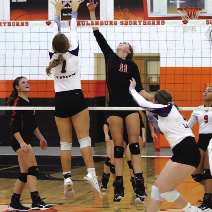 LG Girls Beat Schulenburg in Volleyball
