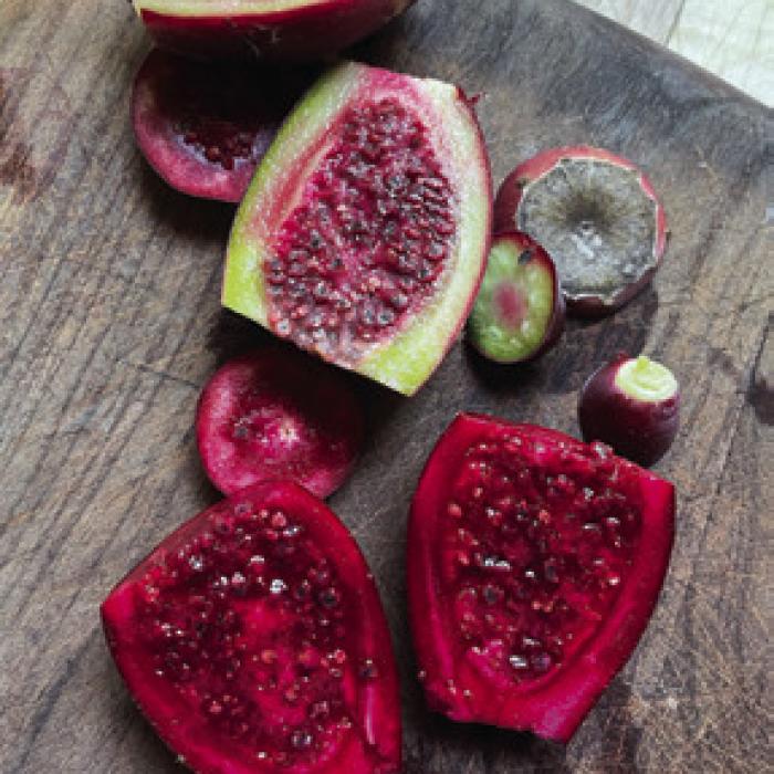 Getting Prickly Our gardening columnist harvests and enjoys some prickly pear fruit. Page C1