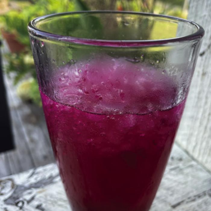 The end result was a delicious prickly pear cocktail with vodka, lime juice, Topo Chico and honey.
